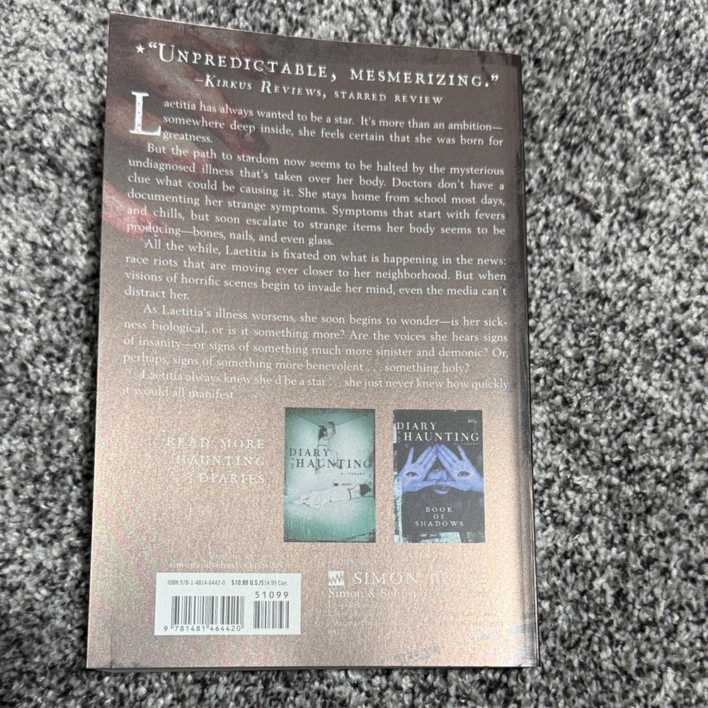 Diary of a Haunting Book - Picture 2 of 2